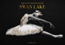 SWAN LAKE AUDITION SWAN LAKE AUDITION