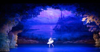Audition Call – Classical Ballet Winter Tour 2026/2027