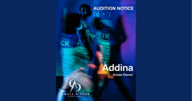 Cie Amala Dianor Seeks Dancers