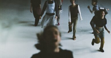 Dresden Frankfurt Dance Company Seeks Dancers