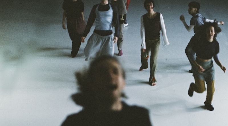 Dresden Frankfurt Dance Company Seeks Dancers