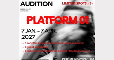 PLATFORM 01 - PLATZ14 - ONLINE AUDITIONS